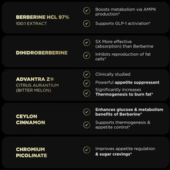 Terra Elmnt Green tea extract capsule indicating energy support from caffeine.