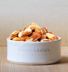 Terrasoul Brazil nuts milk setup for creamy, dairy-free beverages.