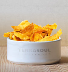 Terrasoul Organic Dried Mango Slices bright color indicating no added sugar