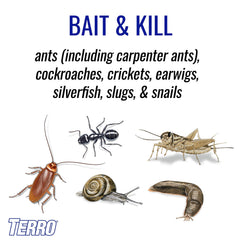 Terro T2600 outdoor bait granules close-up highlighting outdoor protection