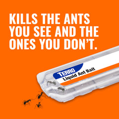 Terro bait on kitchen counter attracts foraging ants.