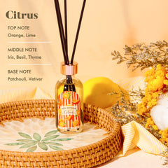 The Good Soul Project gift-ready set for linen vanilla citrus diffusion
