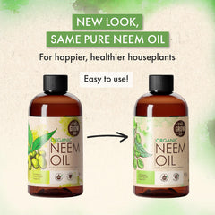 The Grow Co leaf shine spray on dusty indoor leaves, revitalizing appearance.