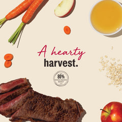 The Honest Kitchen Jerky Harvest Mini Bars small-batch roasting flavor, craft quality you can notice.