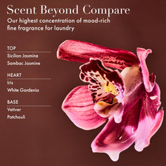 The Laundress Flora Luna fragrance notes image highlights jasmine and iris.