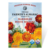 The Old Farmer's Almanac Petite Marigolds bloom close-up shows vibrant color for sunny borders.