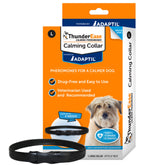 ThunderEase collar on dog, ready for calmer reactions to thunder and travel.