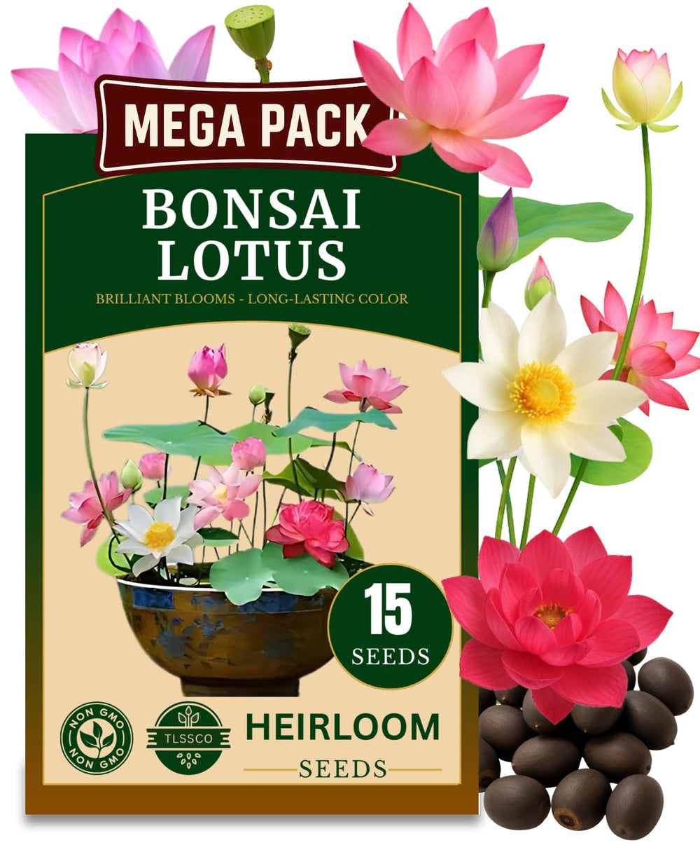 TLSSCO 15 lotus seeds packaging in USA, easy gifting for home gardens