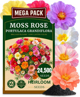 TLSSCO moss rose seeds pack shown for sunny garden beds with vibrant color