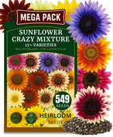 TLSSCO sunflower seeds planting pack pouring for easy indoor germination.