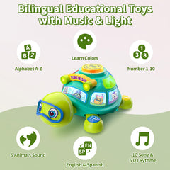 ToddlerCley Musical Turtle in crawling mode encouraging movement