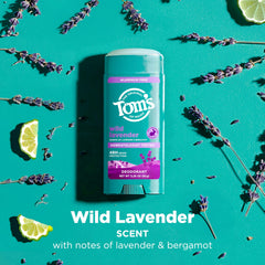 Scent profile of Tom’s of Maine Wild Lavender deodorant with lavender and bergamot notes