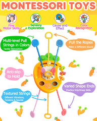 Tonberless BPA-free materials ensure safe, gentle play for babies