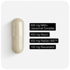 Toniiq ingredient blend graphic featuring NAD+, Resveratrol, Niacin