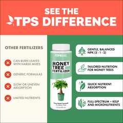 TPS Nutrients Money Tree strong roots development supports sturdy growth.