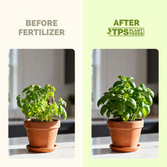 TPS NUTRIENTS potted herbs-in-pot demonstrates gentle nutrition for containers.