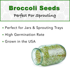 TradeKing seeds in a microgreen tray for vibrant, fresh greens.