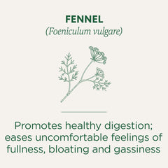 Traditional Medicinals fennel tea cup ready to enjoy a soothing aromatic experience.