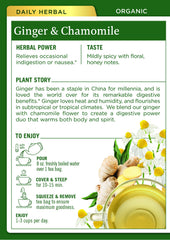 Traditional Medicinals ginger root close-up highlighting natural ingredients