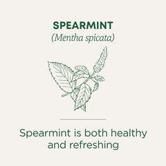 Traditional Medicinals spearmint tea with Kosher certification visible on the packaging.