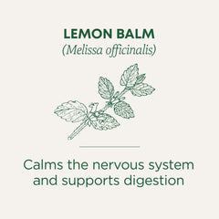Traditional Medicinals Lemon Balm Tea bags pack ready for daily use.