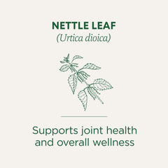 Pouring cup of Traditional Medicinals nettle tea highlighting fresh, earthy taste