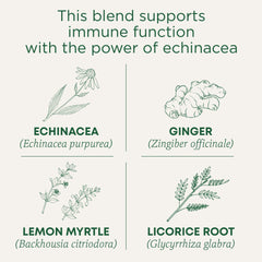 Traditional Medicinals Organic Immune Zoom tea pack shown in a 16-count box for daily sipping.