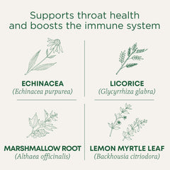 Traditional Medicinals Organic, Kosher, Non-GMO, caffeine-free tea packaging.