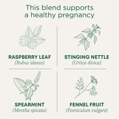 Traditional Medicinals organic pregnancy tea packaging highlighting certified organic ingredients.