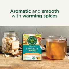 Traditional Medicinals Reishi Warming Spice tea bag with earthy notes.