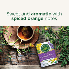 Traditional Medicinals Smooth Move cup steaming, inviting a comforting evening ritual