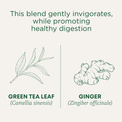 Traditional Medicinals ginger slices close-up suggest bright, spicy aroma.