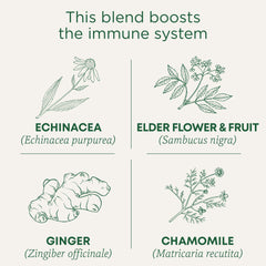 Packaging box shows organic and non-GMO seals for Traditional Medicinals blend.