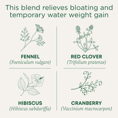 Traditional Medicinals Weightless Cranberry tea cup infusing with a bright, caffeine-free aroma.