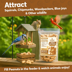 Trailmark Naturals USA-grown peanuts; clean wildlife feed for outdoor stations.