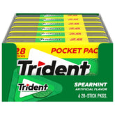 Trident Spearmint pocket pack case for on-the-go freshness.