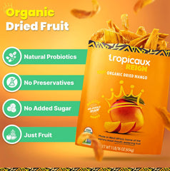 Tropicaux Reign Organic Dried Mango Slices close-up texture showing chewy, flavorful fruit