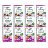 True Citrus Wildberry Lemonade packaging for convenient hydration.