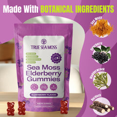 TrueSeaMoss sea moss extract visual emphasizing natural marine source.
