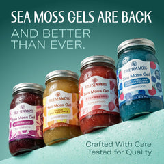 TrueSeaMoss gel spoon-dip shows convenient, grab-and-go serving.