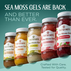 TrueSeaMoss gel on a spoon highlights creamy texture for drinks.