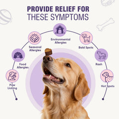 TTLXRL salmon oil omega-3 ingredient for healthy skin and coat