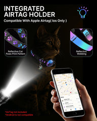 Typecase waterproof breakaway cat collar keeps your kitten safe during play.