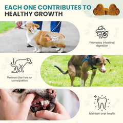 TzzyiC dog probiotics chews closeup, convenient gut support for active dogs.