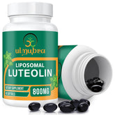 Ulmubra liposomal luteolin bottle front view showing 800 mg potency for daily antioxidant support.