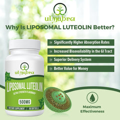 Ulmubra Liposomal Luteolin softgels close-up highlighting convenient daily capsules
