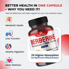 Ultra Herbs berberine packaging flatlay captures bottle, box, and capsules for a complete daily pack