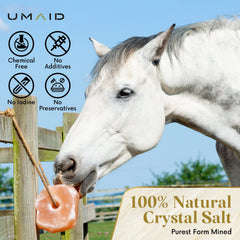 UMAID Himalayan salt lick on rope close-up shows minerals and rock texture