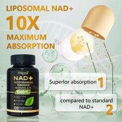 UNcena liposomal delivery technology visual suggesting enhanced absorption