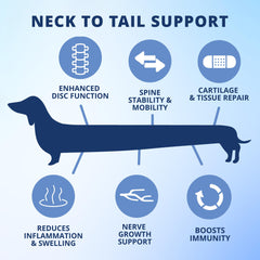 Under the Weather disc-spine-chews-ingredients-chart showcases chondroitin, MSM, turmeric in bites